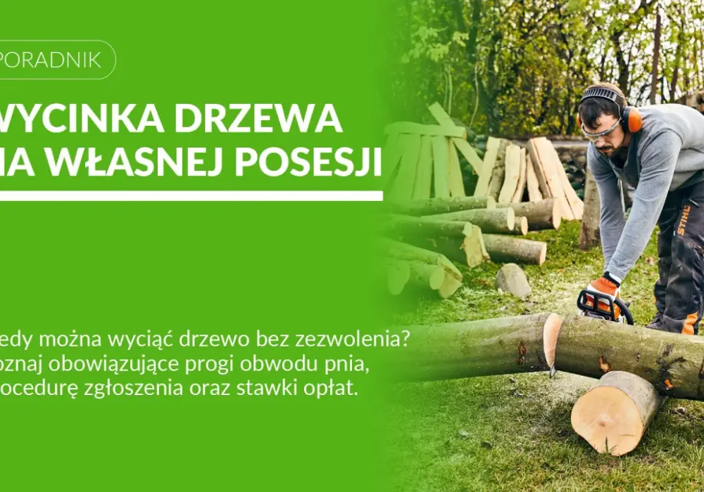 Wycinka drzew na posesji - Kiedy zgłoszenie, a kiedy zezwolenie?