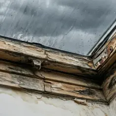 Zniszczone drewniane szpalety okna dachowego z pleśnią i zaciekami.
