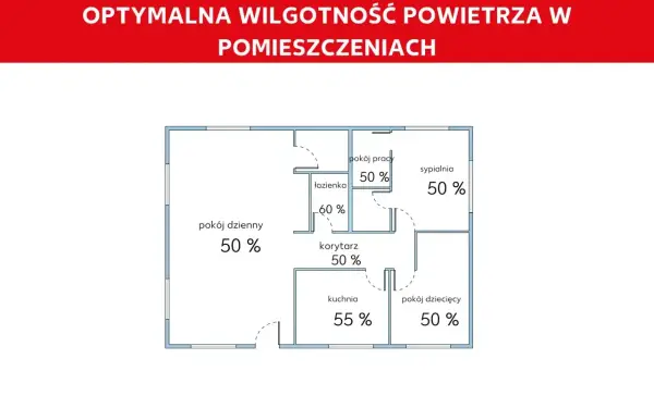 Jaka wilgotność w domu? Idealny poziom i jak go utrzymać